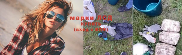 стаф Алексин